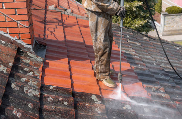 Roof Cleaning Northolt