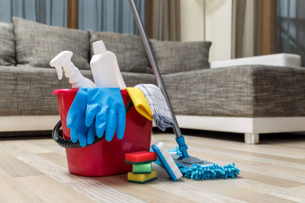 Professional House Cleaning London